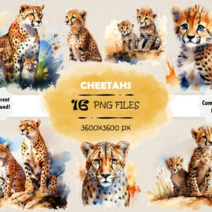 Acuarela Cheetahs Clipart Bundle Lindo Cheetah PNG Set Original Cheetah Wall Art Cheetah Clip Art Acuarela Cheetah Pintura Bebé Cheetah