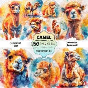 Pittura ad acquerello di cammello, stampe di cammello colorato, pacchetto PNG di cammello del deserto, arte di cammello stampabile, arte della parete di cammello colorato, clipart di cammello carino