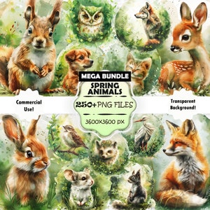MEGA SET Pacote de clipart de animais de primavera, conjunto de PNG de animais em aquarela, arte para impressão da floresta, arte de parede de animais da floresta, conjunto de impressão de animais verdes
