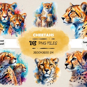 Aquarell Gepard Clipart Bundle Bunte Gepard PNG Set Original Gepard Wand Kunst Niedlicher Gepard PNG Baby Gepard Clip Art Gepard Digital