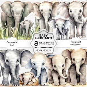 Watercolor Elephant Clipart Set, Baby Elephant Print, Cute Elephant Cub PNG Bundle, Aquarell Baby Elephant Wall Art, Printable Elephant Art
