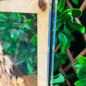 K&ouml;nnte beinhalten: Nahaufnahme eines Holzrahmens mit einer klaren Acrylglasscheibe. Der Rahmen wird mit einer silbernen Schraube zusammengehalten. Der Rahmen ist vor einem Hintergrund aus gr&uuml;nem Laub platziert.