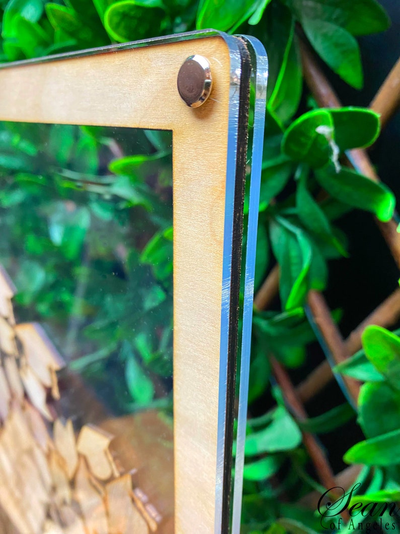 K&ouml;nnte beinhalten: Nahaufnahme eines Holzrahmens mit einer klaren Acrylglasscheibe. Der Rahmen wird mit einer silbernen Schraube zusammengehalten. Der Rahmen ist vor einem Hintergrund aus gr&uuml;nem Laub platziert.