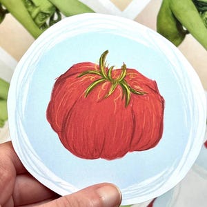Tomatensticker, groot, extra groot, matte afwerking, ongecoat, set, verpakking
