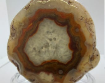 Gepolijste Marokkaanse agaatknobbel, 196 gram
