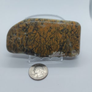 Dendritic Opal/Australian Dendritic Opal