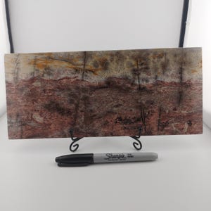 Picture Stone/Picture Jasper
