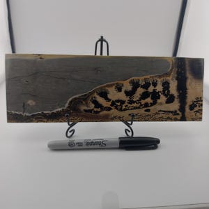 Picture Stone/Picture Jasper