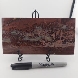 Picture Stone/Picture Jasper