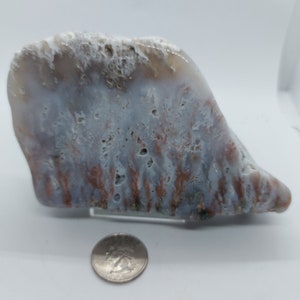 May include: A large, irregularly shaped slab of agate with a white, gray, and brown color pattern. The agate has a rough, natural texture and is about the size of a quarter.