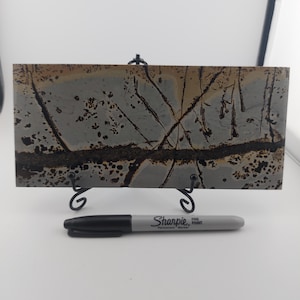 Picture Stone/Picture Jasper