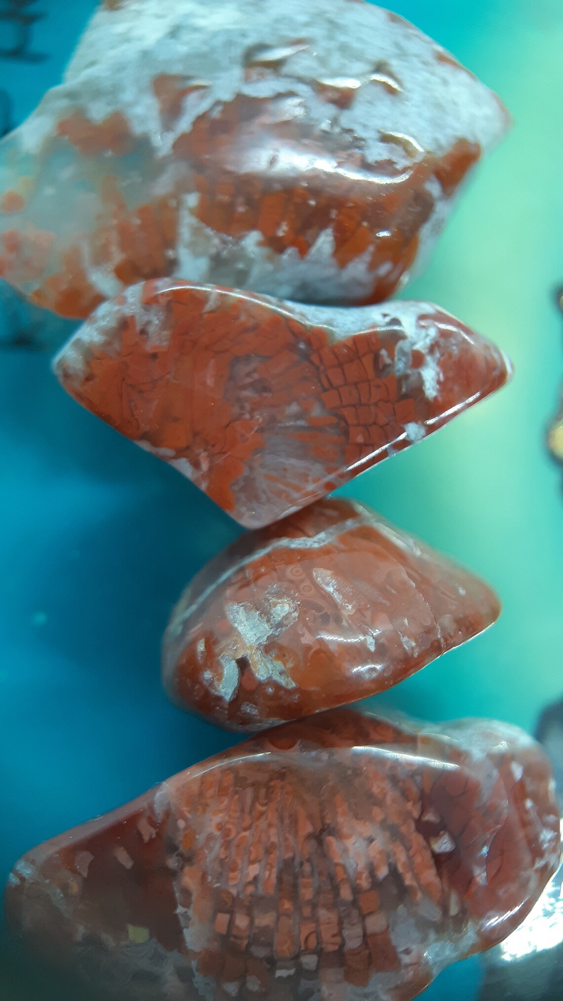 Agate Candy/ Polished Gobi dessert Agate Candy Etsy