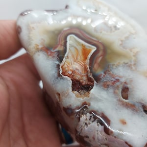 Puma Agate