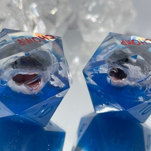 READY TO SHIP: Shark In The Water Jumbo D20