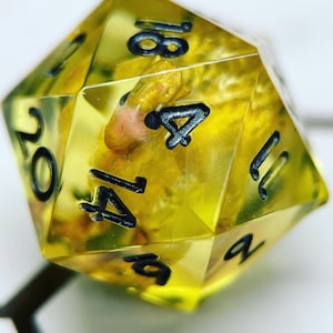 READY TO SHIP: Standard ChocoBird D20 (read description!)