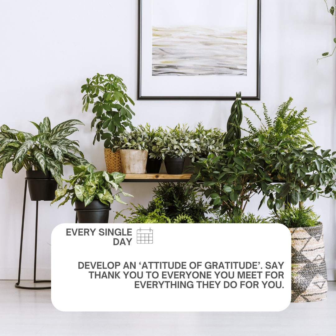 100 Instagram Post Templates Inspirational Quotes Plant & Etsy