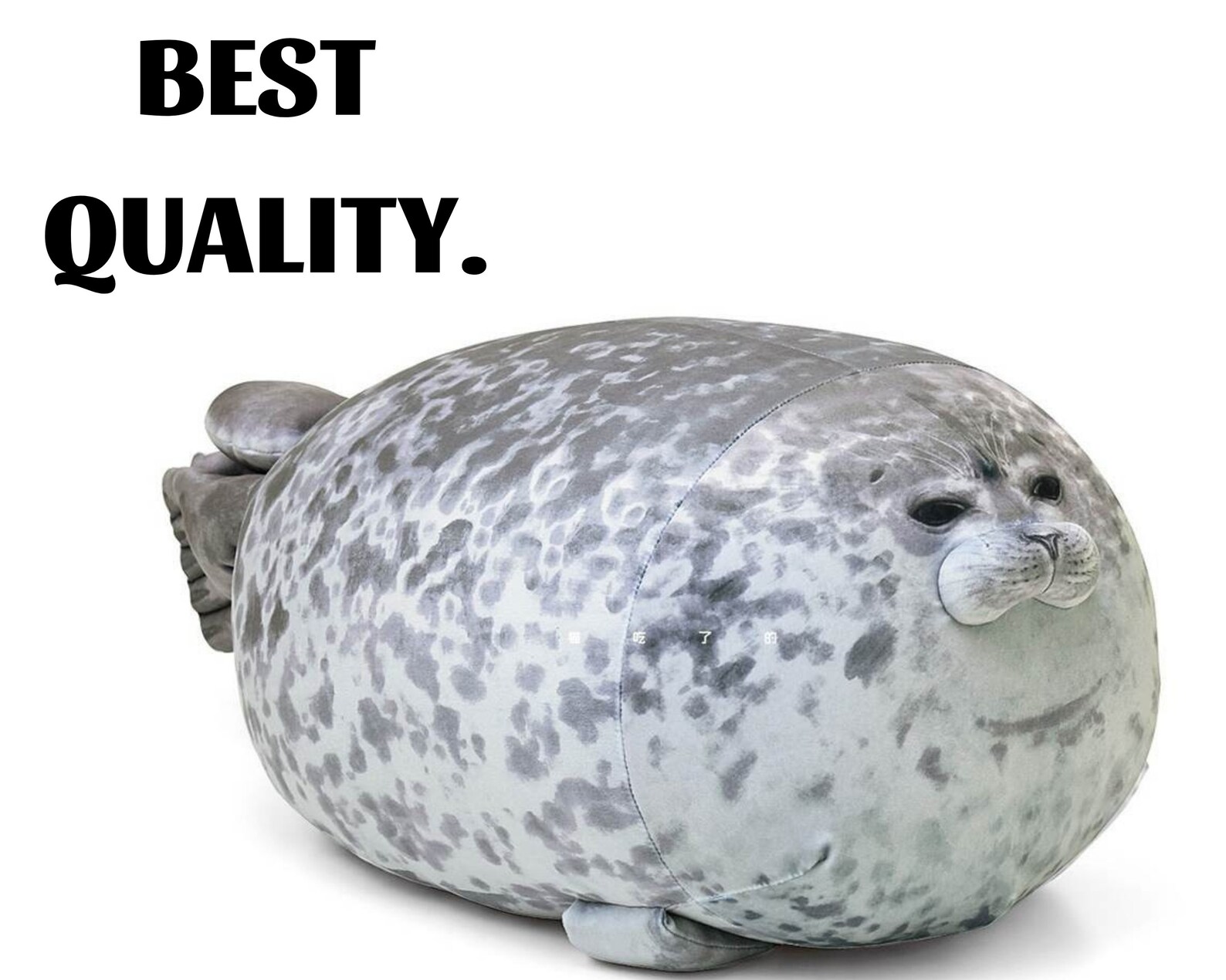 chubby angry seal