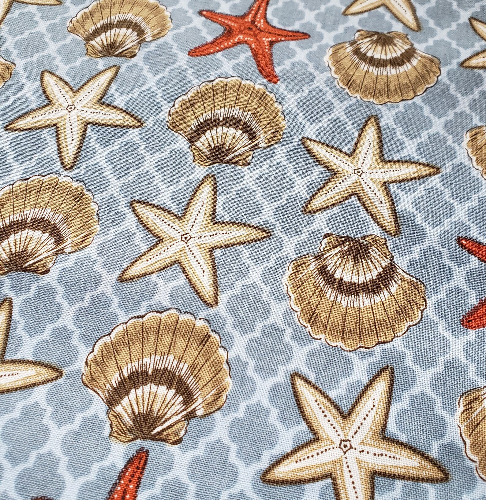 Seashells 43 Wide 100 Cotton Quilting Fabric 1 Yard Etsy
