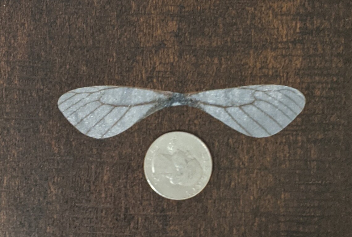 White Fairy Wings Bulk Etsy