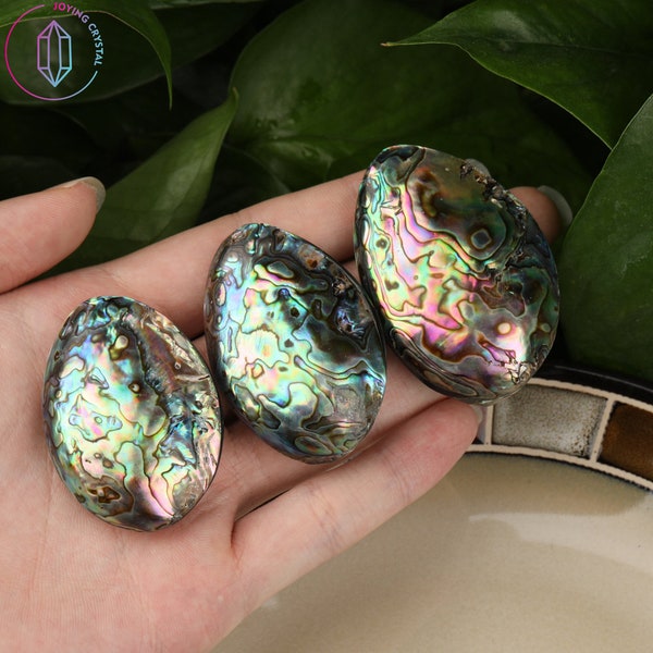 2 Inches Natural Abalone Shell Home Decoration,Abalone Beads,Paua Shell Beads Bulk Wholasales For DIY Jewelry Making