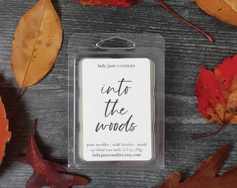 Into the Woods Wax Melts | Highly Scented Wax Melt Bar | Strong Fragrance Autumn Fall Winter Green | Housewarming Holiday Gift for Her