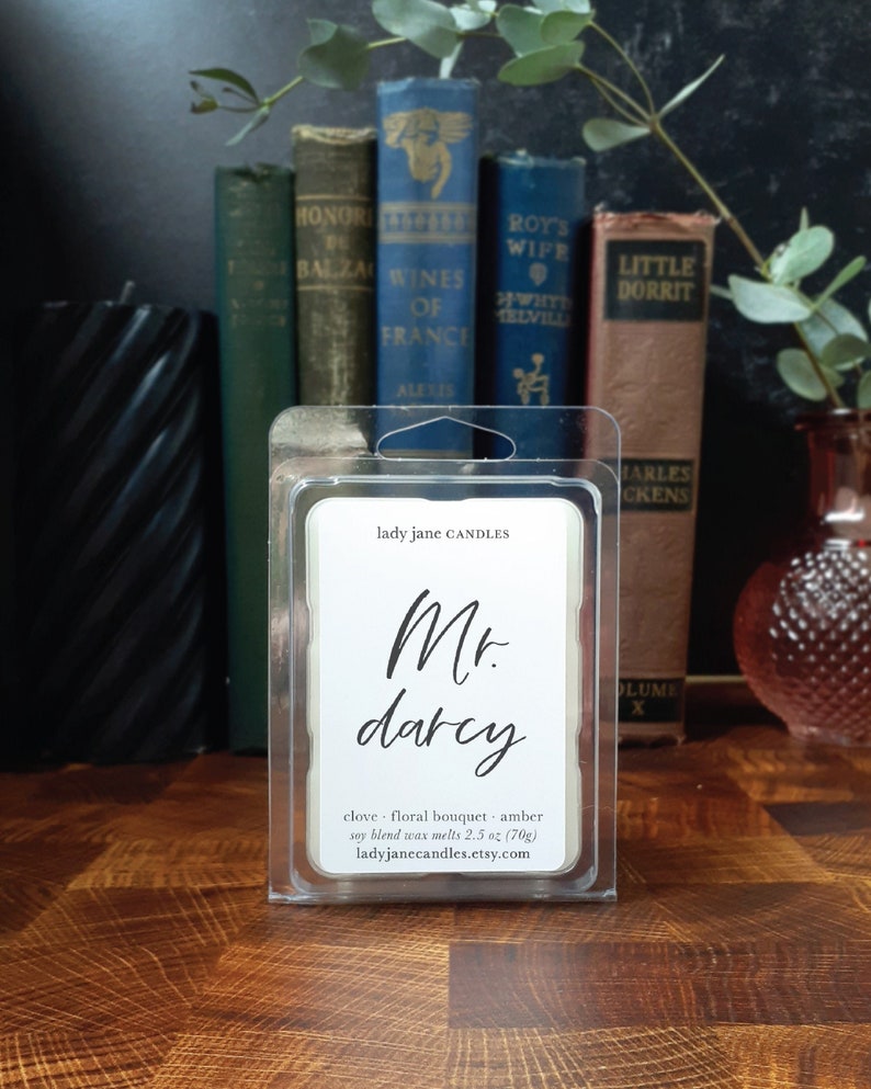 Mr. Darcy Wax Melts Highly Scented Wax Melt Bar Summer Storm Strong Extra Fragrance Refined Neutral Fresh Scent Wax Tart Soy Blend image 1