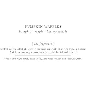 Pumpkin Waffles Wax Melts Highly Scented Wax Melt Bar Pumpkin Pecan Waffles Maple Strong Extra Fragrance Wax Tart Soy Blend image 2