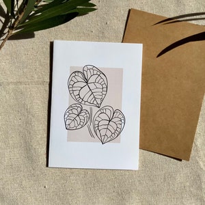 Anthurium clarinervium / dessin au trait crystallinum botanique Cartes de vœux