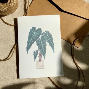 Plantes botaniques d'intérieur Alocasia Cartes de voeux