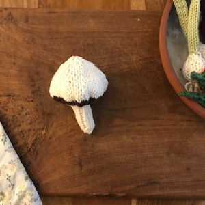 Mushroom Knitting Pattern