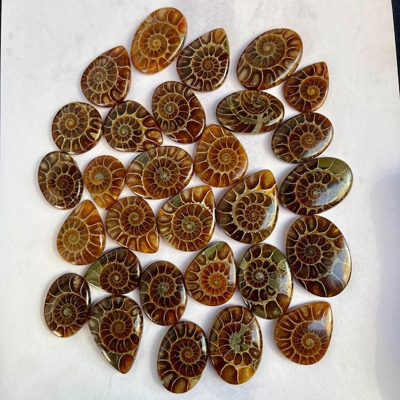 Ammonite Gemstone Cabochon: Natural Stone for Jewelry Making