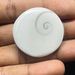 May include: A polished, white Shiva eye shell, showcasing a prominent spiral pattern in the center. The shell is round and smooth, with a creamy white color and a subtle, natural design. This unique item is a natural gemstone.