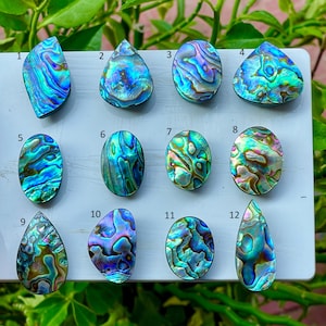 Könnte beinhalten: Zwölf polierte Abalone-Muschel-Cabochons, angeordnet in drei Reihen auf einer weißen Oberfläche. Jedes Stück zeigt irisierende Wirbel in Blau, Grün und Violett. Die Cabochons sind von 1 bis 12 nummeriert und haben verschiedene Formen wie oval, tropfenförmig und unregelmäßig.