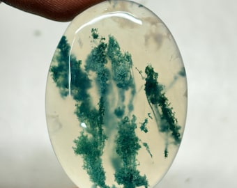 Peut inclure: Pierre d'agate mousse ovale avec une base translucide blanc crème. Elle présente des motifs complexes en forme de fougère dans des tons de vert forêt et bleu-vert, créant un design naturel. La surface polie reflète la lumière.