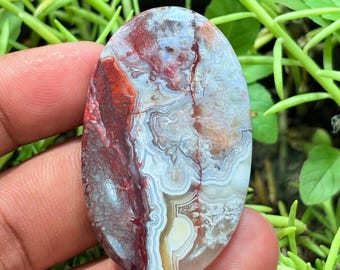 Natural Crazy Lace Agate Cabochon: Semi Precious Gemstone (52X32MM, 79Cts)