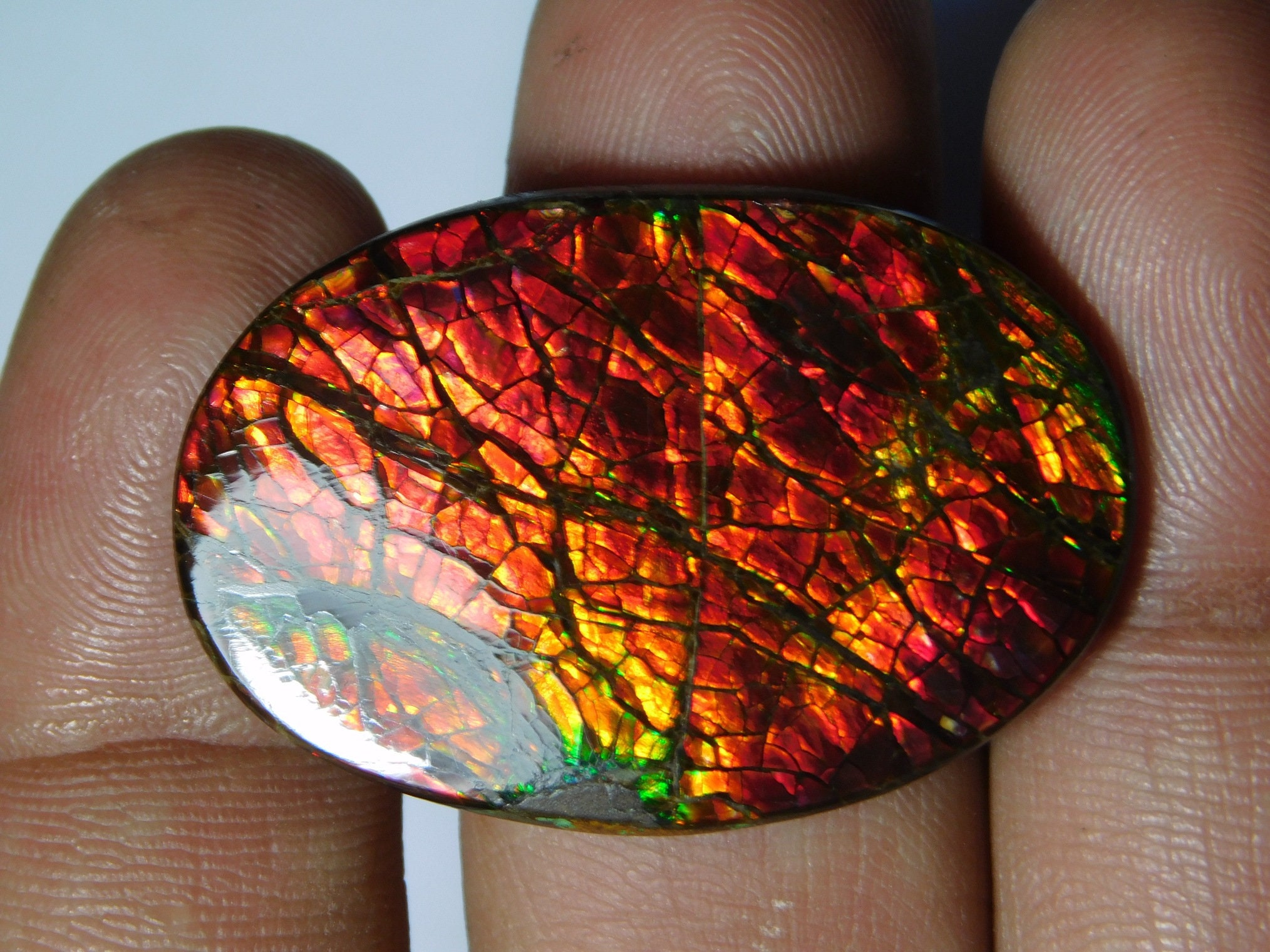 Very Rare & Beautiful Ammolite Gemstone Ammolite Cabochon Etsy