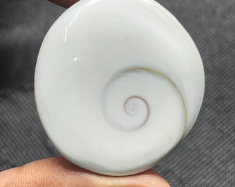 Shiva oogschelp cabochon: natuurlijke edelsteen voor het maken van sieraden (38 x 35 mm, 103 kt.)