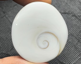 Shiva oogschelp cabochon: natuurlijke edelsteen voor het maken van sieraden (111 kts, 39 x 26 mm)