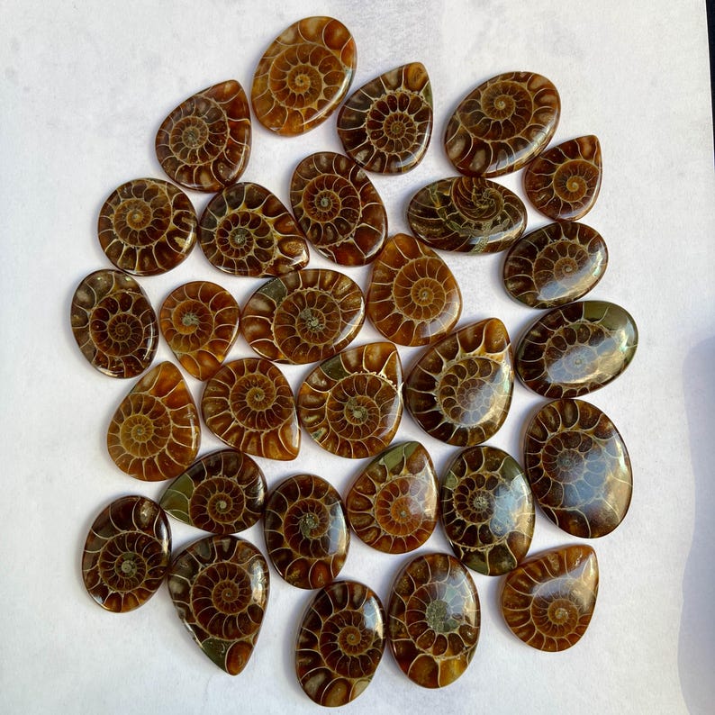 May include: A collection of 25 brown and gold ammonite fossil pendants. Each pendant is shaped like a teardrop and features a detailed spiral pattern.