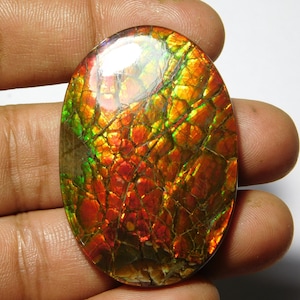 Very Rare & Beautiful Ammolite Gemstone Ammolite Cabochon Ammolite Loose semi precious Ammolite Jewelry gemstone Ammolite (49X33MM)