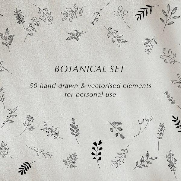PERSOONLIJK GEBRUIK: 50 handgetekende botanische illustraties, floral design kit, logo ontwerp of stationair, blad / tak clip art, branding kit