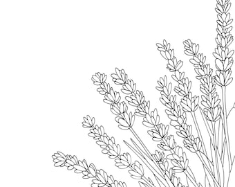 Peut inclure: Illustration en noir et blanc de brins de lavande. L'image présente plusieurs tiges de lavande avec des têtes de fleurs détaillées, disposées en composition d'angle sur fond blanc. Le style de dessin est épuré et botanique.