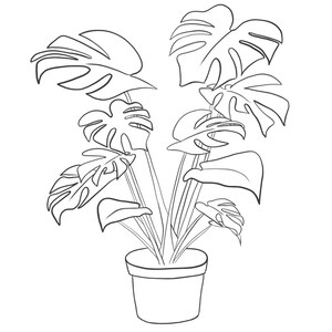Op de afbeelding: Zwart-wit lijntekening van een Monstera-plant in een pot. De plant heeft grote, gespleten bladeren en meerdere stelen. De pot is eenvoudig en rond van vorm. Ideaal voor kleur- of designprojecten.