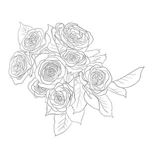 Op de afbeelding: Een zwart-wit lijntekening van een rozenboeket. De afbeelding toont verschillende rozen met gedetailleerde bloemblaadjes en bladeren. Deze bloemenillustratie is geschikt voor kleur- of ontwerpprojecten.