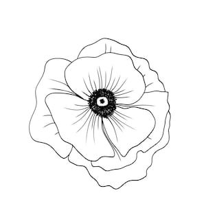 Può includere: Un disegno a tratto in bianco e nero di un fiore di papavero. Il fiore ha più petali con un centro scuro. I petali hanno un bordo ondulato. Il fiore è centrato su uno sfondo bianco.