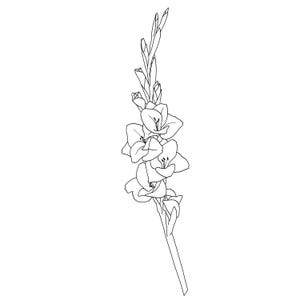 Hand Drawn Gladiolus Flower Line Art, SVG PNG (Digital Download)