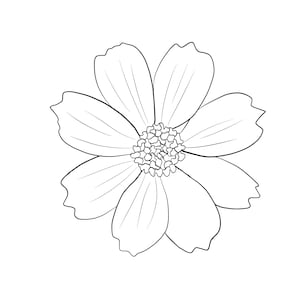 Peut inclure: Un dessin au trait en noir et blanc d'une fleur de cosmos. La fleur a huit pétales aux bords légèrement incurvés, entourant un disque central détaillé. Les pétales présentent de fines nervures, et le design est simple et élégant.
