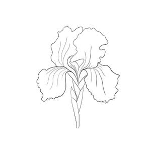 Può includere: Un disegno a tratto in bianco e nero di un fiore di iris. Il fiore presenta grandi petali arruffati e uno stelo dettagliato. Questa semplice ed elegante illustrazione botanica è adatta per stampe artistiche o elementi di design.