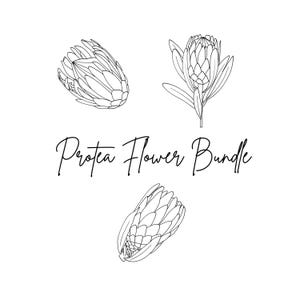 Könnte beinhalten: Eine Schwarz-Weiß-Strichzeichnung eines Protea-Blumen-Bundles. Das Bild zeigt drei Protea-Blumen in verschiedenen Blühstadien, zusammen mit dem Text "Protea Flower Bundle" in einer Schreibschrift.
