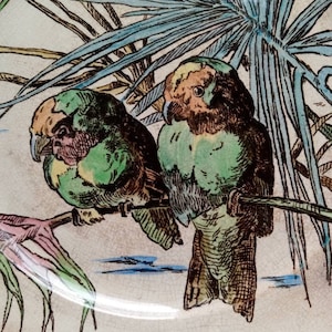 Antique Brown Westhead earthenware plate with bird decoration, Nature series